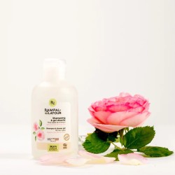 Shampoing Rose de Damas