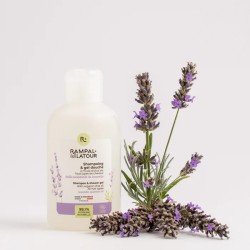 Shampoing douche Lavandin